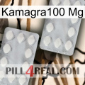 Kamagra100 Mg 17